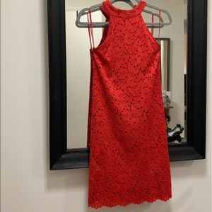 ZARA Tight red lace Dress